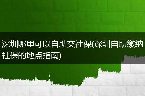深圳哪里可以自助交社保(深圳自助缴纳社保的地点指南)