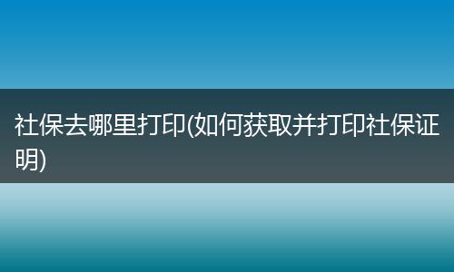 社保去哪里打印(如何获取并打印社保证明)
