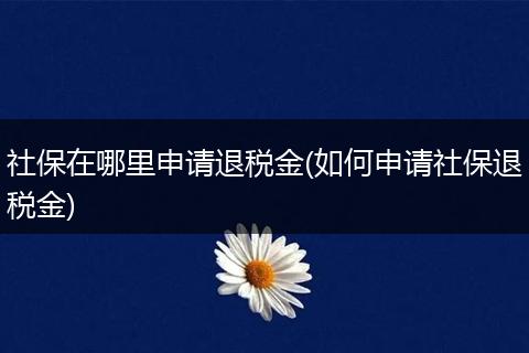 社保在哪里申请退税金(如何申请社保退税金)