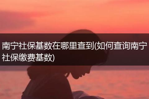南宁社保基数在哪里查到(如何查询南宁社保缴费基数)
