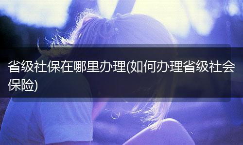省级社保在哪里办理(如何办理省级社会保险)