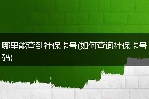 哪里能查到社保卡号(如何查询社保卡号码)