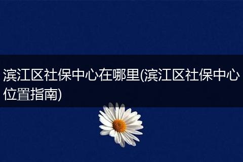 滨江区社保中心在哪里(滨江区社保中心位置指南)