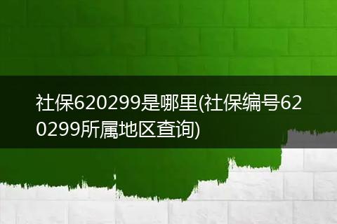 社保620299是哪里(社保编号620299所属地区查询)
