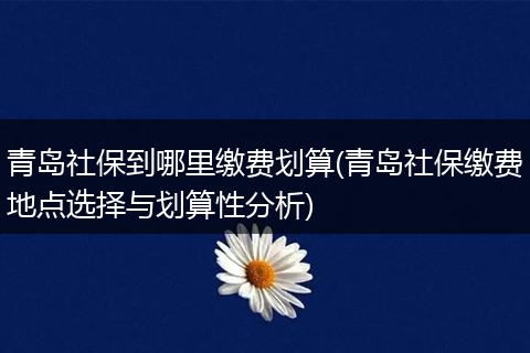 青岛社保到哪里缴费划算(青岛社保缴费地点选择与划算性分析)
