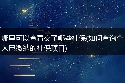 哪里可以查看交了哪些社保(如何查询个人已缴纳的社保项目)