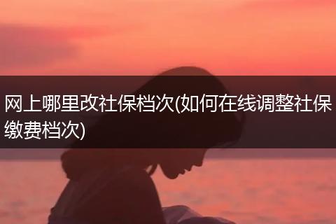 网上哪里改社保档次(如何在线调整社保缴费档次)
