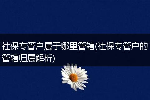 社保专管户属于哪里管辖(社保专管户的管辖归属解析)