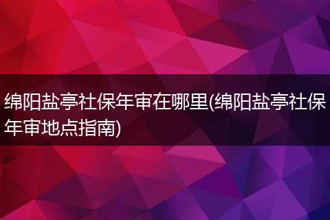 绵阳盐亭社保年审在哪里(绵阳盐亭社保年审地点指南)