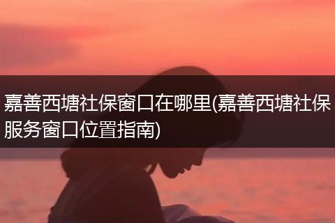 嘉善西塘社保窗口在哪里(嘉善西塘社保服务窗口位置指南)