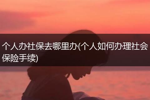个人办社保去哪里办(个人如何办理社会保险手续)
