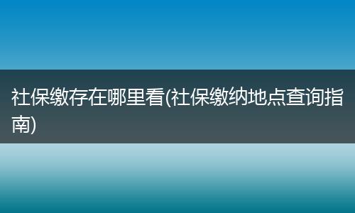 社保缴存在哪里看(社保缴纳地点查询指南)
