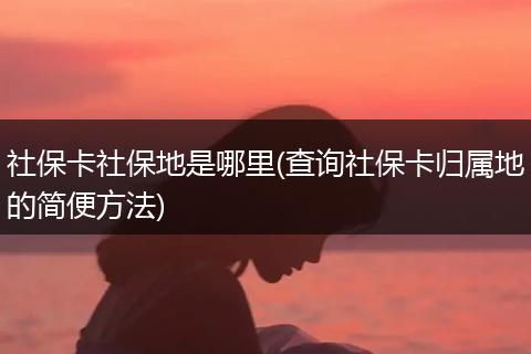 社保卡社保地是哪里(查询社保卡归属地的简便方法)