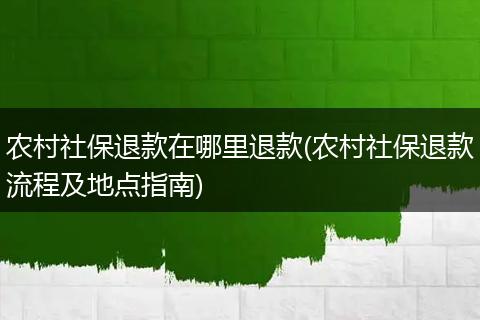 农村社保退款在哪里退款(农村社保退款流程及地点指南)