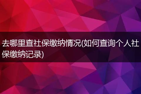 去哪里查社保缴纳情况(如何查询个人社保缴纳记录)
