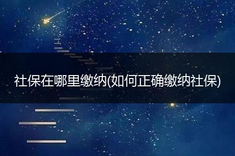 社保在哪里缴纳(如何正确缴纳社保)