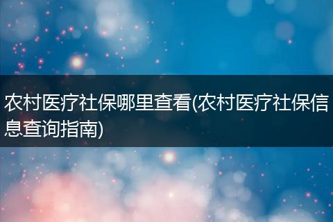 农村医疗社保哪里查看(农村医疗社保信息查询指南)