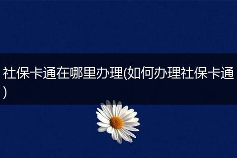 社保卡通在哪里办理(如何办理社保卡通)
