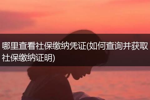 哪里查看社保缴纳凭证(如何查询并获取社保缴纳证明)