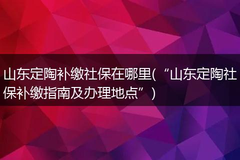 山东定陶补缴社保在哪里(“山东定陶社保补缴指南及办理地点”)