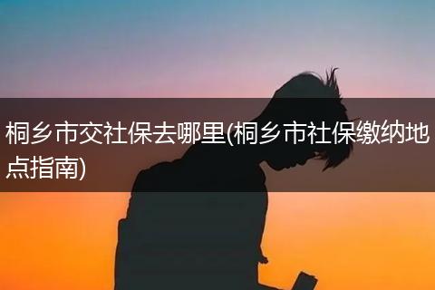 桐乡市交社保去哪里(桐乡市社保缴纳地点指南)
