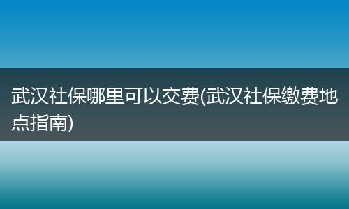武汉社保哪里可以交费(武汉社保缴费地点指南)