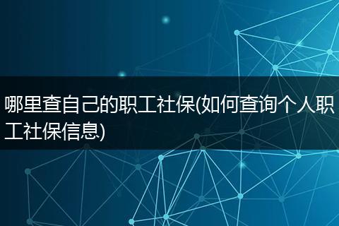 哪里查自己的职工社保(如何查询个人职工社保信息)