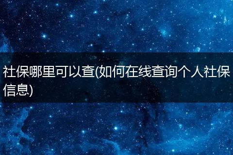 社保哪里可以查(如何在线查询个人社保信息)