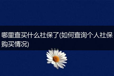 哪里查买什么社保了(如何查询个人社保购买情况)