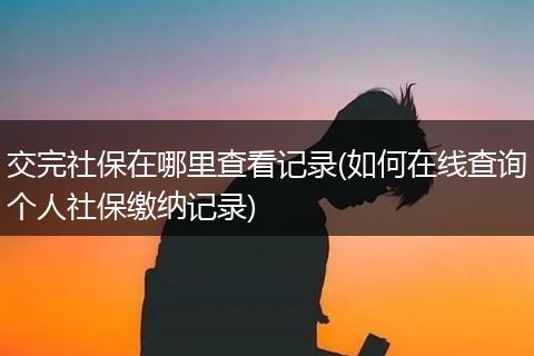 交完社保在哪里查看记录(如何在线查询个人社保缴纳记录)