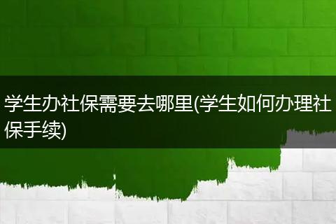 学生办社保需要去哪里(学生如何办理社保手续)