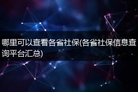 哪里可以查看各省社保(各省社保信息查询平台汇总)