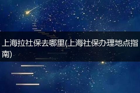 上海拉社保去哪里(上海社保办理地点指南)