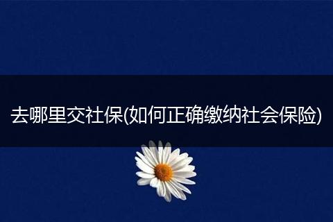去哪里交社保(如何正确缴纳社会保险)