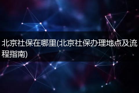北京社保在哪里(北京社保办理地点及流程指南)