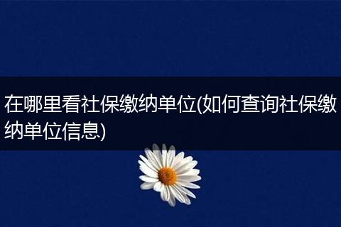 在哪里看社保缴纳单位(如何查询社保缴纳单位信息)