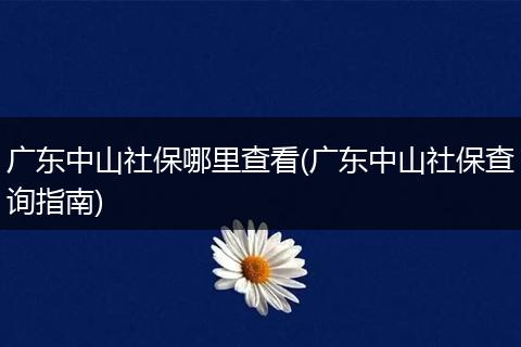 广东中山社保哪里查看(广东中山社保查询指南)