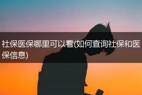 社保医保哪里可以看(如何查询社保和医保信息)