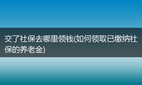 交了社保去哪里领钱(如何领取已缴纳社保的养老金)