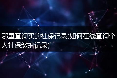 哪里查询买的社保记录(如何在线查询个人社保缴纳记录)