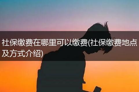 社保缴费在哪里可以缴费(社保缴费地点及方式介绍)
