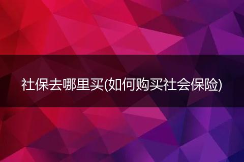 社保去哪里买(如何购买社会保险)
