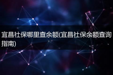 宜昌社保哪里查余额(宜昌社保余额查询指南)