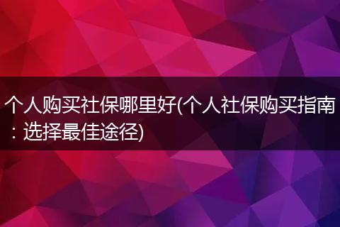 个人购买社保哪里好(个人社保购买指南：选择最佳途径)
