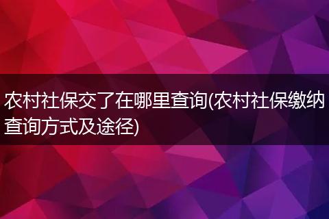 农村社保交了在哪里查询(农村社保缴纳查询方式及途径)