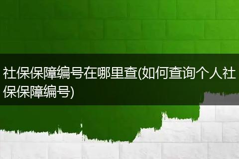 社保保障编号在哪里查(如何查询个人社保保障编号)