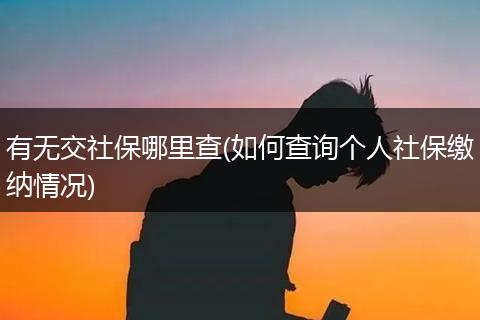 有无交社保哪里查(如何查询个人社保缴纳情况)