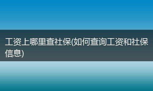 工资上哪里查社保(如何查询工资和社保信息)