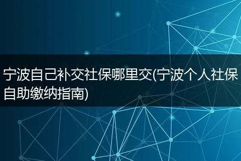 宁波自己补交社保哪里交(宁波个人社保自助缴纳指南)
