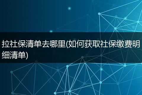 拉社保清单去哪里(如何获取社保缴费明细清单)